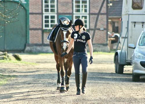 Englisch Reiterin führt ihr Pferd über den Reiterhof Severloh