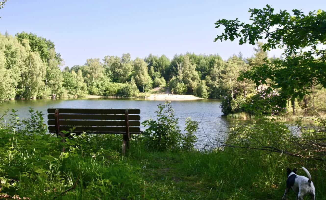 Blick über den schönen Badesee auf dem Ferienhof Severloh