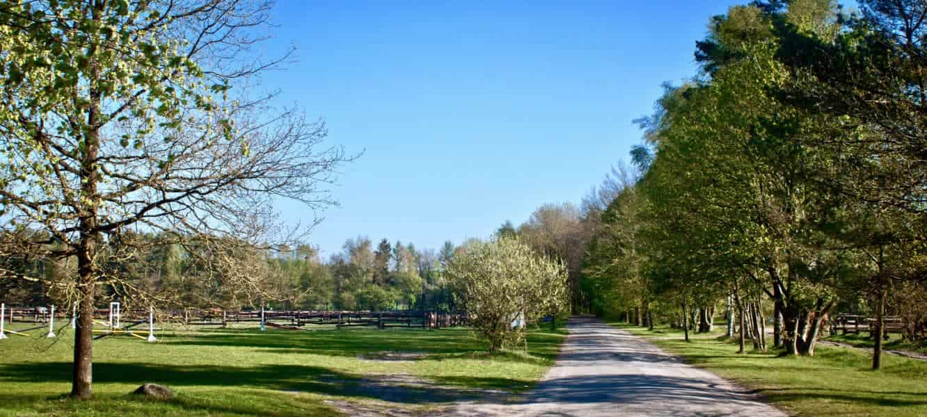 Blick über den Springplatz und Zufahrtsweg zum Reiterhof Severloh