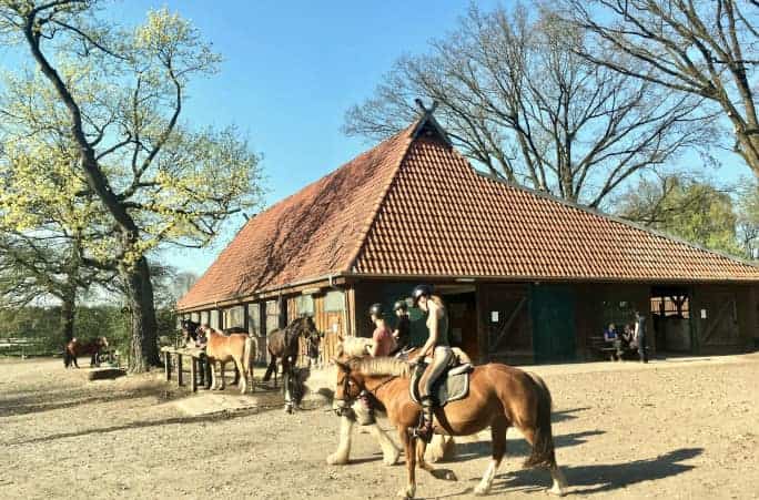 Ferienwohnung & Ferienhaus | Reiterhof Lüneburger Heide
