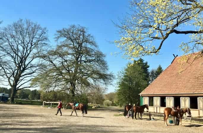 Ferienwohnung & Ferienhaus | Reiterhof Lüneburger Heide