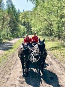 Ausfahrt im Urlaub mit Kutsche auf den Reitwegen von Hof Severloh