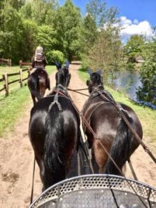 Ein Zweier-Kutschen-Gespann auf dem Reitweg am See vom Reiterhof Severloh