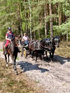 Kutschengespann und Reiter auf den Reitwegen vom Reiterhof Severloh