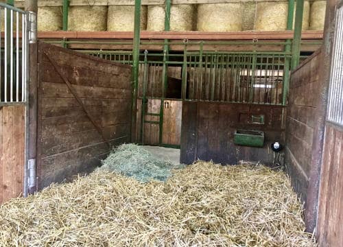 Ansicht in eine Strohbox im Balkonstall vom Reiterhof Severloh